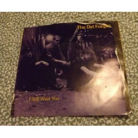 The Del Fuegos "I Still Want You" 45RPM w/Pic Sleeve 1985 - Slash/WB Boston Band