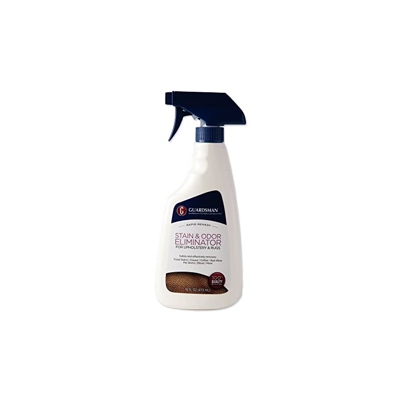 Guardsman 462600 Stain & Odor Eliminator for Fabric Removes Stains,