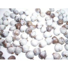 Job's Teardrop Beads Natural 8-10mm Pkg of 30