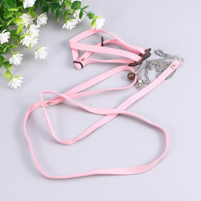iplusmile Turtle Harness and Lead - Pettortoise Lead Turtle Harness