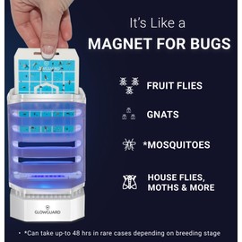 GlowGuard Cordless Flying Insect Trap Catches Fruit Flies, Indoor Gnat Killer, Magnet for Moths & Mosquitos in Dark, 1 Rechargeable Bug Trap + 4 Dual-Sided Sticky Pad Refills, 30hr Battery (White)
