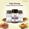 PURENUTRITION ME Pure Nutrition Triple Ginseng - an Unique and