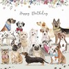Mixed Dogs Luxury Birthday Card