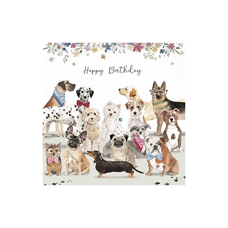 Mixed Dogs Luxury Birthday Card