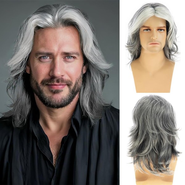 Dsimeig Mens Wig Grey Long Straight Synthetic Heat Resistant Costume