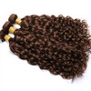 22 24 26 Inch Raivide Dark Brown Bundle Color #4