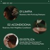 Aveda Pure-Formance Firm Hold Gel | Fijación máxima