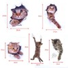 Pazi Wall Sticker Cat Removable Wall Sticker Cat Sticker Cute