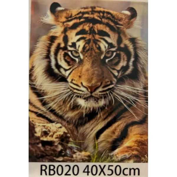 DIY Diamond Painting, Paint by numbers kit, adults/ kids on