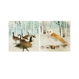 Box of 16 Winter Birds Owl & Geese RSPCA Charity Christmas Cards In 2 Designs