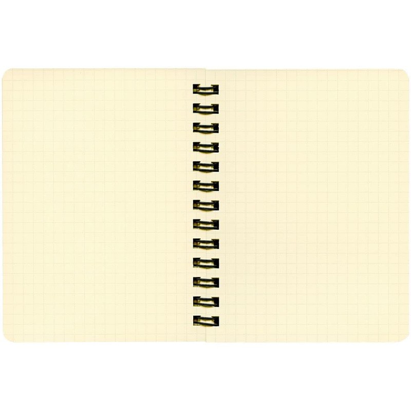 Delfonics Rollbahn Spiral Clear Notebooks: 4-1/2 in. x 5-1/2 in.