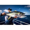 Nomad Design DTX Minnow Floating 120-4.75"