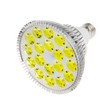RubyLux All Yellow LED Bulb - Size Large – 1