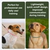 Slip Collar for Small & Medium Dogs, 1/4" Nylon Rope