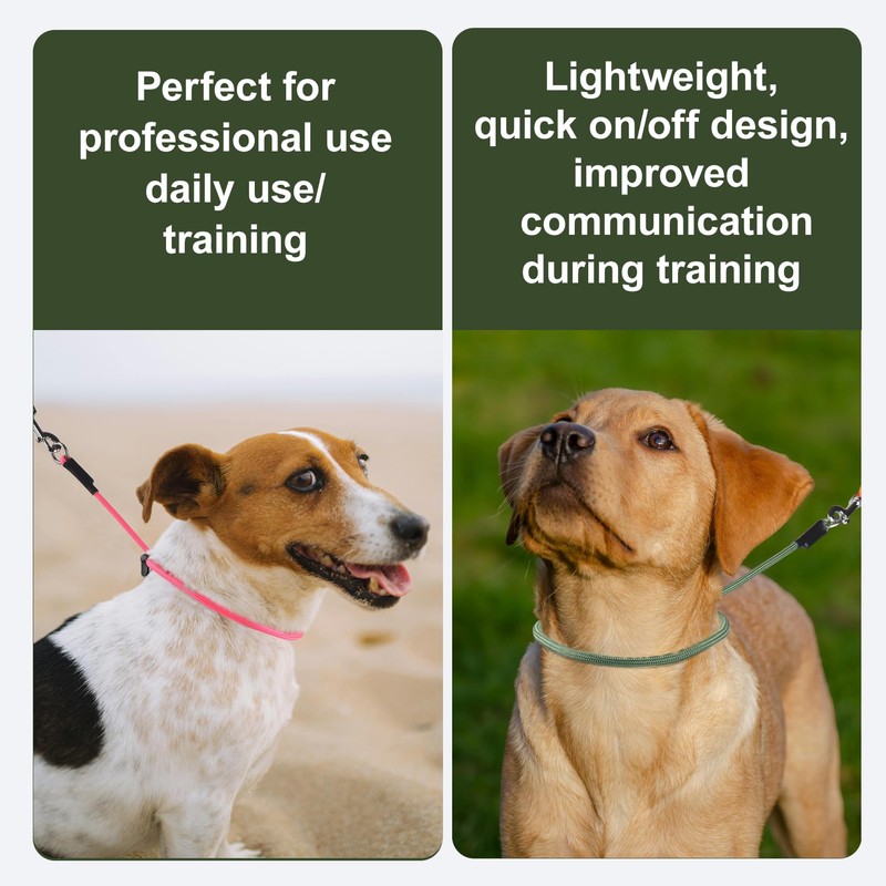 Slip Collar for Small & Medium Dogs, 1/4" Nylon Rope