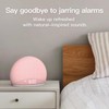 HOUSBAY Sunrise Alarm Clock, White Noise Sound Machine for Bedroom