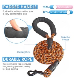BAAPET 2/4/5/6 FT Dog Leash with Comfortable Padded Handle and Highly Reflective Threads for Small Medium and Large Dogs (5FT-1/2'', Black Orange)