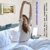 Light Therapy Wake-up lamp Sunrise Alarm Clock 12000lux UV-Free Bionic