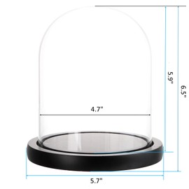 ZOOFOX Set of 2 Glass Dome Cloche with Black Wooden Base, 5.7" x 6.5" Decorative Bell Jar Display Dome for Plants, Fairy Lights, Photos, Succulents and Medals