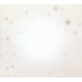 There's A Riot Going On by YO LA TENGO [Vinyl]