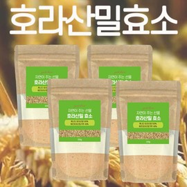 Khorasan Wheat Enzyme 220g / 호라산밀 효소 220gX4팩 (8개월분) 소화 곡물 효소 카무트 효소 분말