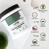 Nature's Pure Blend Super Greens Polvo Orgánico Sabor Matcha