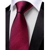 Barry.Wang Plaid Ties Mens Silk Necktie and Tie Clip Checkered