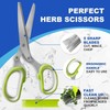 Herb Scissors, Shallot Scissors, Multipurpose 5 Blade Kitchen Herb Shears,