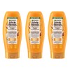 Garnier Whole Blends Illuminating Conditioner Moroccan Argan and Camellia Oils