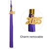 GraduationMall Unisex Adult Matte Graduation Cap with 2025 Tassel Purple
