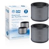 Fette Filter - 2 Premium True Hepa H13 Replacement Filter