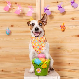 PTDECOR Easter Dog Bandana 2 Pack, Reversible Dog Holiday Festival Scarf, Multi Size Offered, Easter Bandanas for Medium Large Dogs Pets (Blue&Orange, Large)