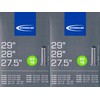 2 x Schwalbe AV 19 Tube 29 622 Valve: Car