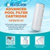 Hurricane Filters HF8410-01 2 Pack Advanced Pool Filter Cartridge -