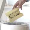 HARRIS Roach Glue Traps Pest Cockroach Insect Killer Pesticide Free