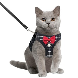 Cat Leash and Harness Set,Breathable Dog Harness,Pet Harness,Adjustable Mesh cat Harness and Leash Escape Proof for Puppy Cat Rabbit (Black, M)