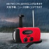 DR.TREE (Emergency Disaster Prevention, 3-Way Charging) Radio Light, Disaster Prevention
