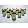 RATHAUS APOTHEKE WIEN - Knospenextrakt - Gemmotherapie - Gedächtnis -