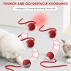 Interactive Cat Toy Cat Ball Electric Charging via USB Magic
