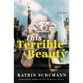This Terrible Beauty: A Novel