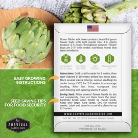 1 Pack Green Globe Artichoke Seeds for Planting with Instructions to Grow Perennial Cynara Scolymus in Your Home Vegetable Garden - Non-GMO Heirloom - Survival Garden Seeds