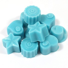Handmade Premium Quality Highly Scented Wax Melts. 10 x 5g Melts in each pack (Zoflo Mountain Air)