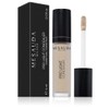 Mesauda Pro Light Fluid Concealer C10 4ml