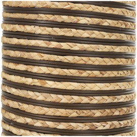 Deco 79 Seagrass Handmade Decorative Vase Slim Woven Tall Floor Centerpiece Vase with Dark Brown Striped Accents, Vase for Home Decoration 9" x 9" x 40", Brown
