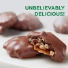 RUSSELL STOVER Sugar Free Assorted Chocolate Candy with Nuts, 15.5