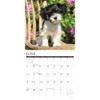 Havanese 2026 12" x 12" Wall Calendar