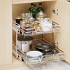 QUYUWU 2-Tier Kitchen Cabinet Pull Out Cabinet Organizer,Shelf and Drawer
