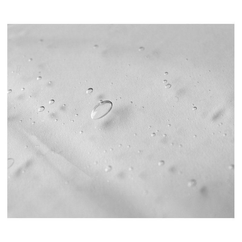 바이오가 두피 글라이신 샴푸, 1L, 1개 Bio Glycine Scalp Shampoo,