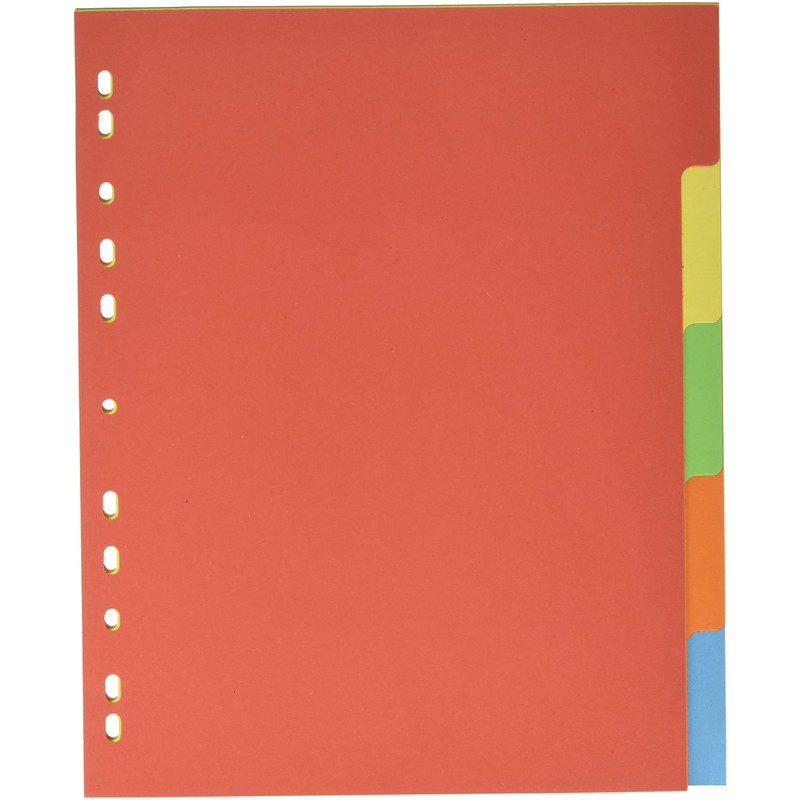 Pagna 32004 20 Register A4 XXL, 5 colours