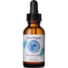 Mad Hippie Antioxidant Facial Oil 매드히피 안티옥시던트 페이셜 오일 Mad